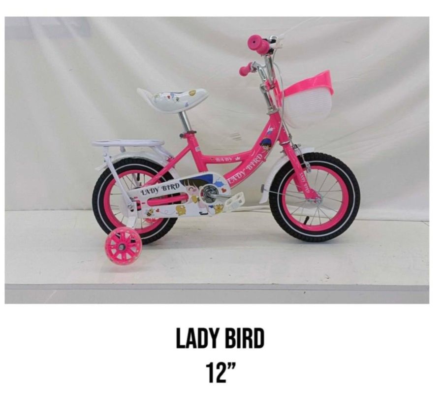 LADYBIRD 12″ KIDS BIKE – STYLISH, SAFE & READY FOR FIRST RIDES