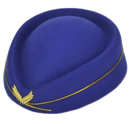 Stewardess Hat Beret Hat Women Air Hostesses Hat Party Hats Costume Cosplay