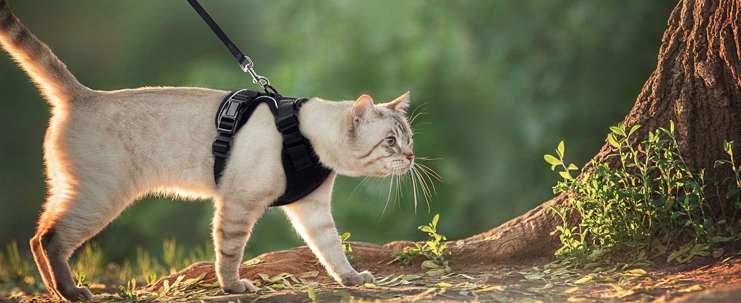 Pet cat breathable chest harness with reflective material to prevent escape, cat walking rope, cat leash, adjustable back strap
