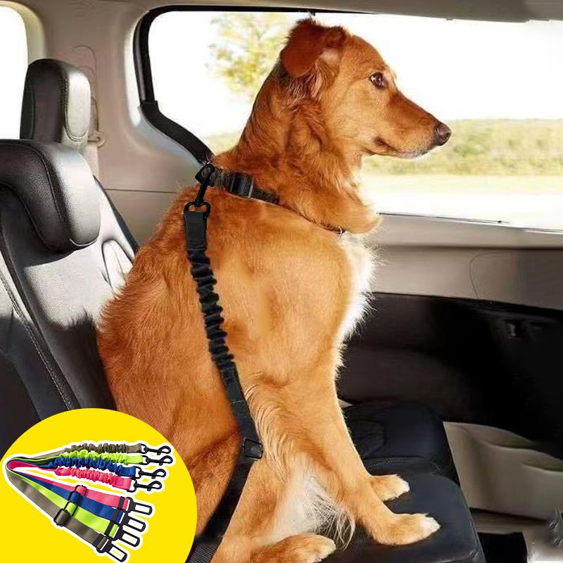 Dog Car Seat Belt – Elastic, Fully Adjustable, Universal for All Car Types, 60-80 cm