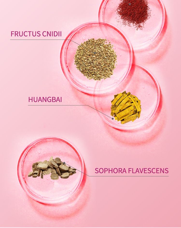 5Pcs Chinese Herbal Tampons For Female Vaginal Detoxification Detox Pearls Gynecological Palace Cleansing Pills  Female Private Care Private Threading Pills Toxins Gynaecology Swab Tampons Discharge