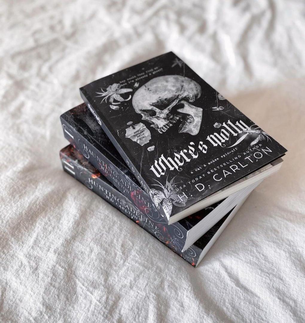 📖WHERE’S MOLLY BY H.D. CARLTON – DARK ROMANCE PSYCHOLOGICAL THRILLER NOVEL | BRAND NEW PAPERBACK