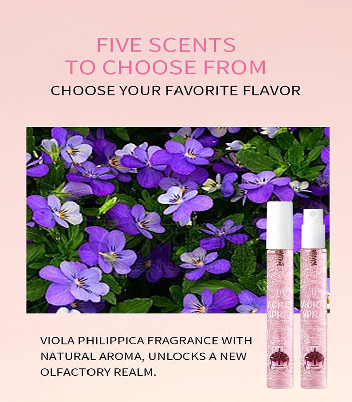5pcs Women's Perfume Dubai Royal Perfume Set Luxury Pocket Perfume Set - Long Lasting, Unique Scents for Daily Use