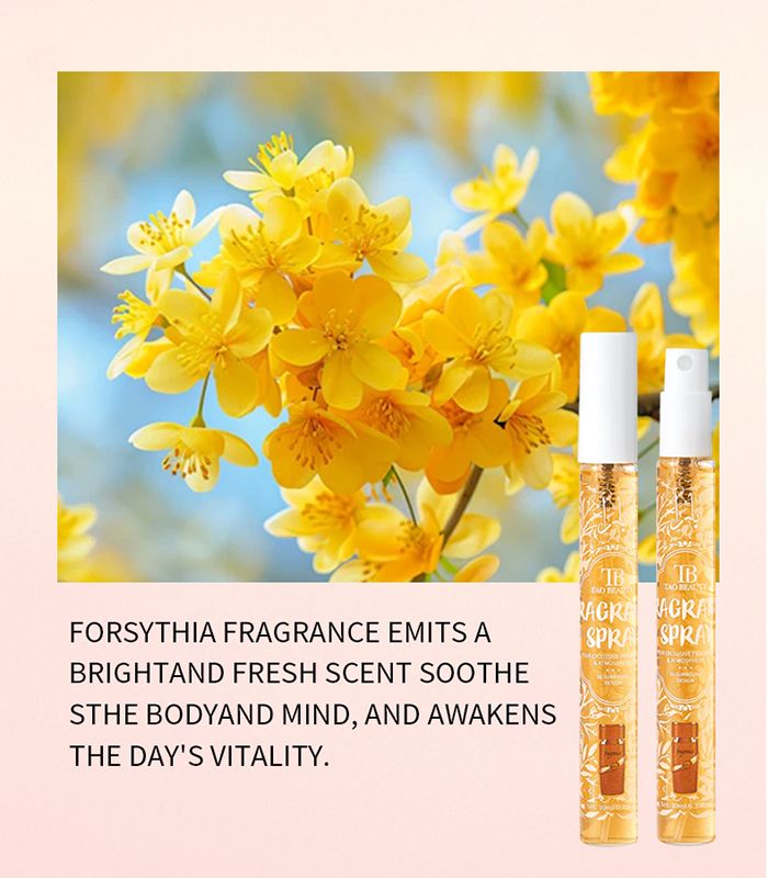 5pcs Women's Perfume Dubai Royal Perfume Set Luxury Pocket Perfume Set - Long Lasting, Unique Scents for Daily Use