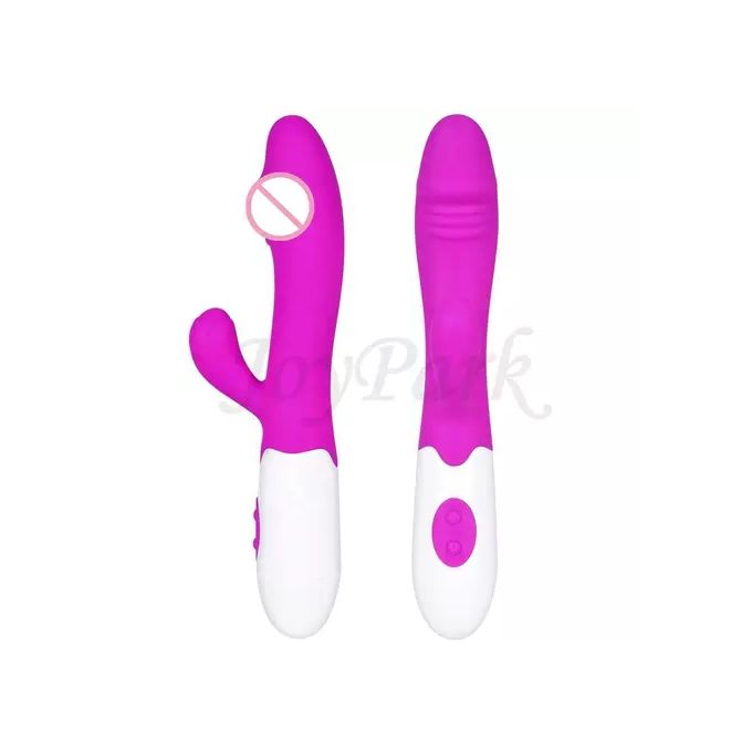 Silicone 10 Speeds Rabbit Vibrator Dildo Sex Toy - image 4