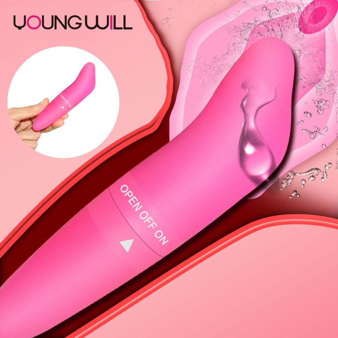 Mini G-spot Dolphin Vibrator For Beginners - image 2