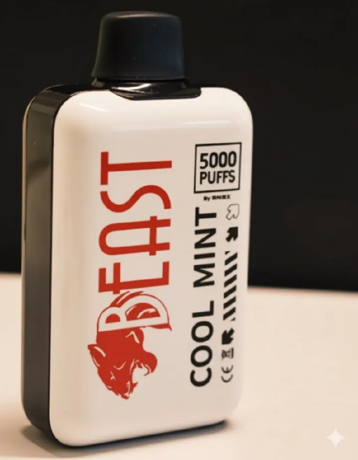 5000 Puffs rechargeable beast Vape  High Capacity E-Cigarette Vape pen cool mint - Ready To Puff And Go Electronic Cigarette Smoke