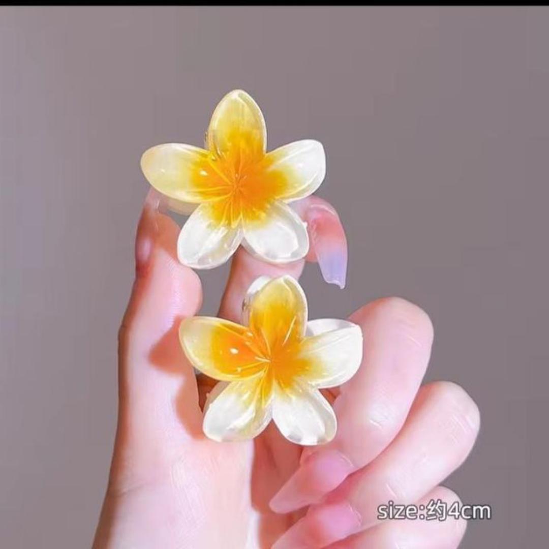 Hawiian acrylic flower 2pcs mini grab hair clip,strong hold ,cute mini hair clip for girls and women holiday gift