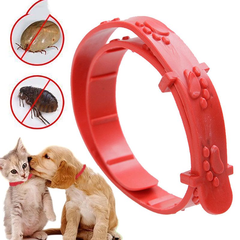 Pet Dog Cat Flea Adjustable Collar Against Anti Tick Flea Mosquitoes Remove Pet Protect Rubber Necklace Flea Killer C-300