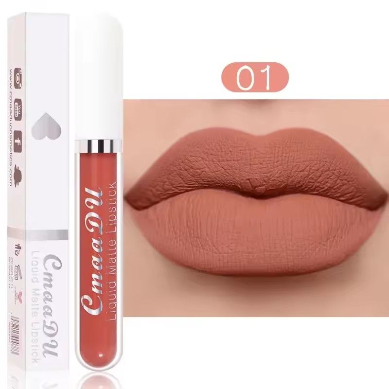 Waterproof Matte Nude Lip Gloss Brown Nude Pigment Dark Red Long Lasting Velvet Liquid Lipstick Women Makeup Lip Glaze B2-688
