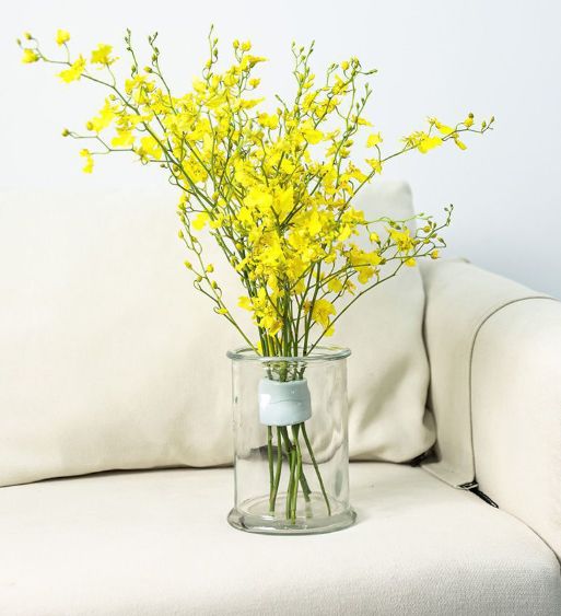 5PCS Large-sized flower arrangers, reusable bouquet planting tools, spiral flower stem fixers, spiral bouquet assistants