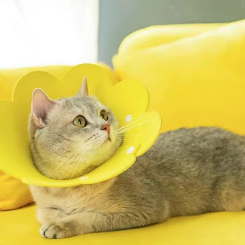 Cute Flower Shaped Cat Recovery Collars Adjustable Elizabethan Collars Puppy Kitten Anti-bite Healing Protective Collars