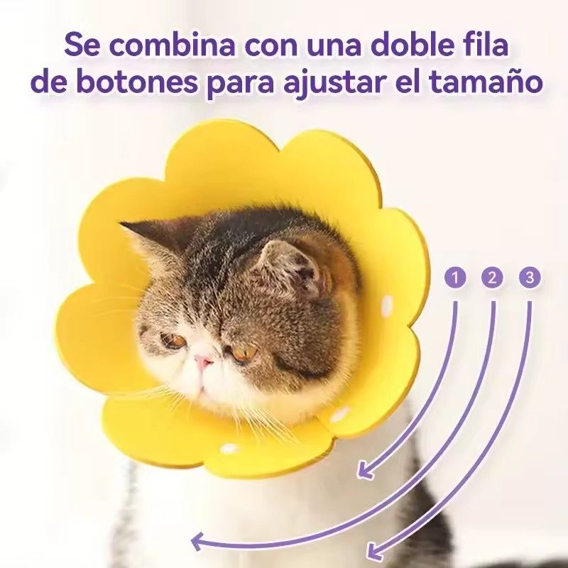 Cute Flower Shaped Cat Recovery Collars Adjustable Elizabethan Collars Puppy Kitten Anti-bite Healing Protective Collars