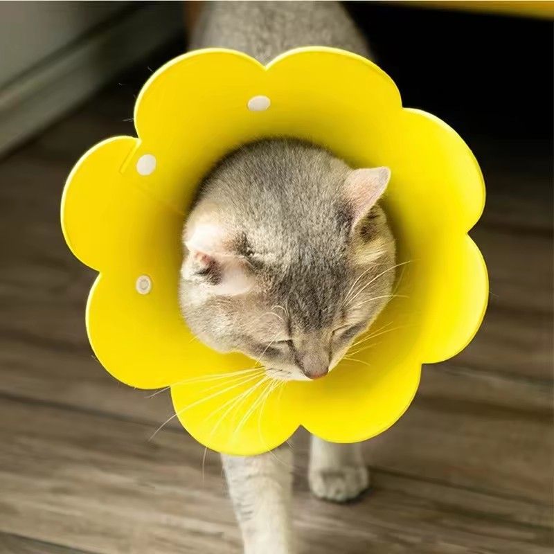 Cute Flower Shaped Cat Recovery Collars Adjustable Elizabethan Collars Puppy Kitten Anti-bite Healing Protective Collars
