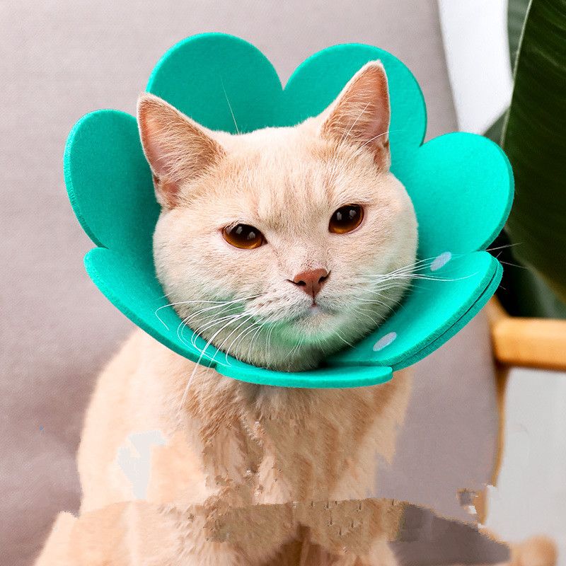 Cute Flower Shaped Cat Recovery Collars Adjustable Elizabethan Collars Puppy Kitten Anti-bite Healing Protective Collars