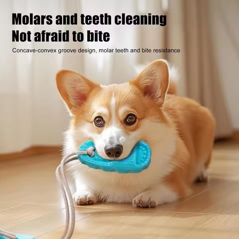 Large Dog Tug-of-war Game Dog Chew Toys with Rope & Vacuum Suction Cup Multifunctional Biting Ball Teeth Cleaning Pet Supplies