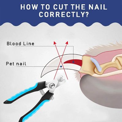 Pet Nail Clippers for Large Dog Nail Trimmer Stainless Steel Scissor Multifunctional Nail Cutter Cat Claw Care Grooming Supplies