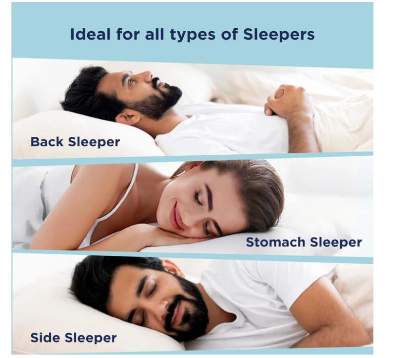 5 by 6 (8-Inch) FREE 2 Pillows JOHARI Orthopedic Fibre Mattress, Firm Back Support, Breathable and Durable, Quilted Soft Cover, Heavy-Duty Construction, Modern Design, Ideal for Home or Hotel, Offer