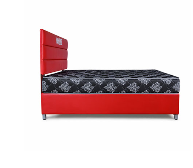 4 by 6 (6-Inch) FREE 2 Pillows SUPERFOAM Morning Glory High-Density Mattress, Firm Back Support, Breathable and Durable, Quilted Soft Cover, Heavy-Duty Construction, Modern Design, Ideal for Home or H