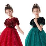 Fancy Girls’  princess Party dress with shinny   – Sparkly cup sleeve Dress with Floral Details | Perfect for Photoshoots, Weddings & Birthdays