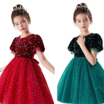 Fancy Girls’  princess Party dress with shinny   – Sparkly cup sleeve Dress with Floral Details | Perfect for Photoshoots, Weddings & Birthdays