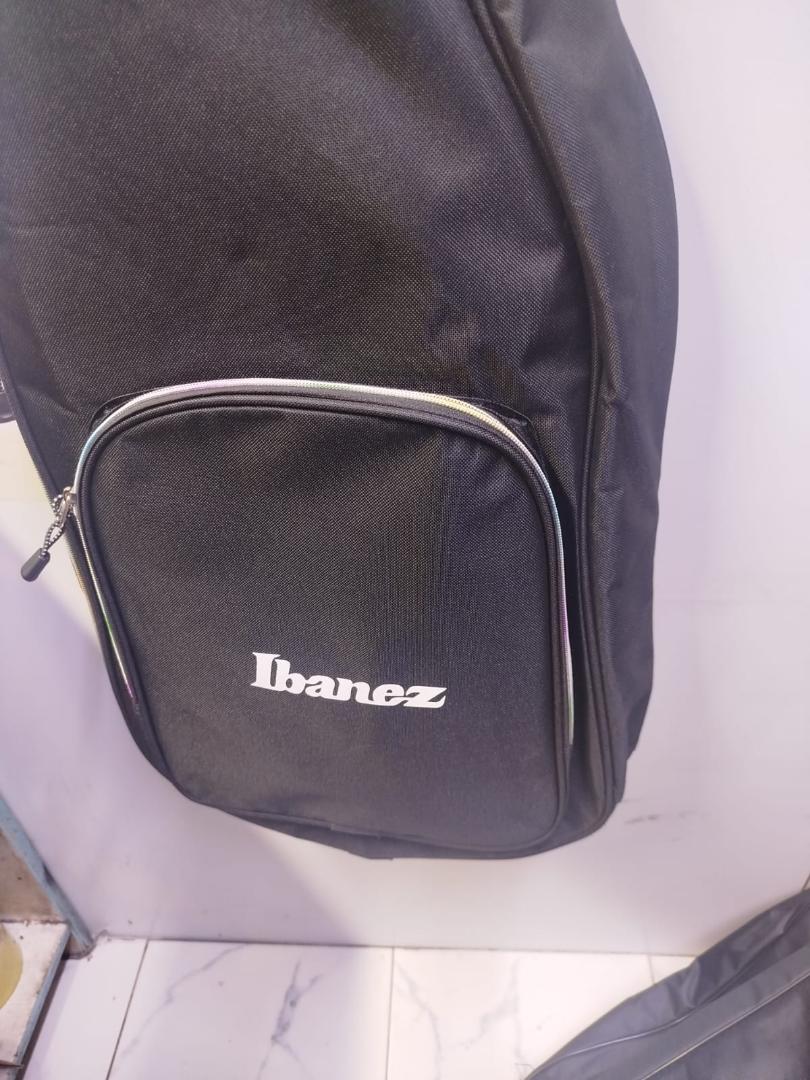 Padded Bass Guitar Bag