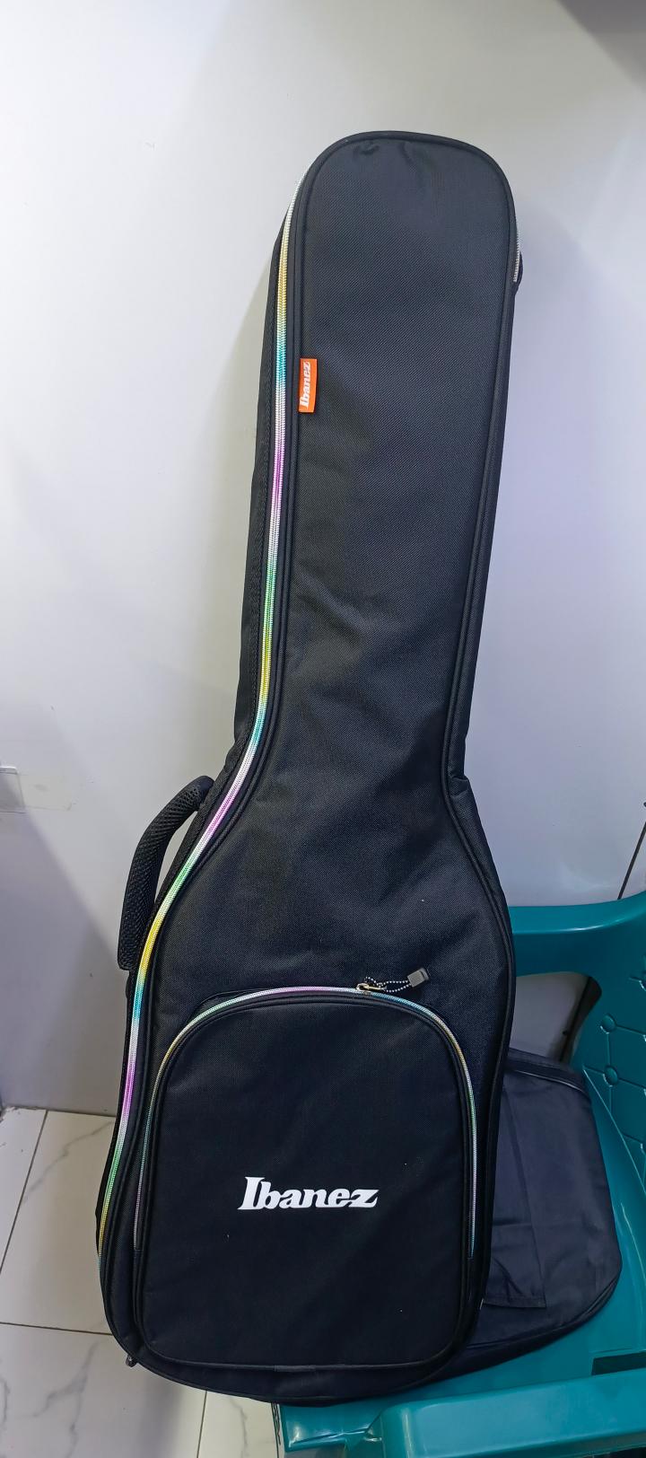 Padded Electric Guitars Bag (Solo & Rhythm)