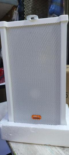 Unison Outdoor and Indoor wall mount speakers