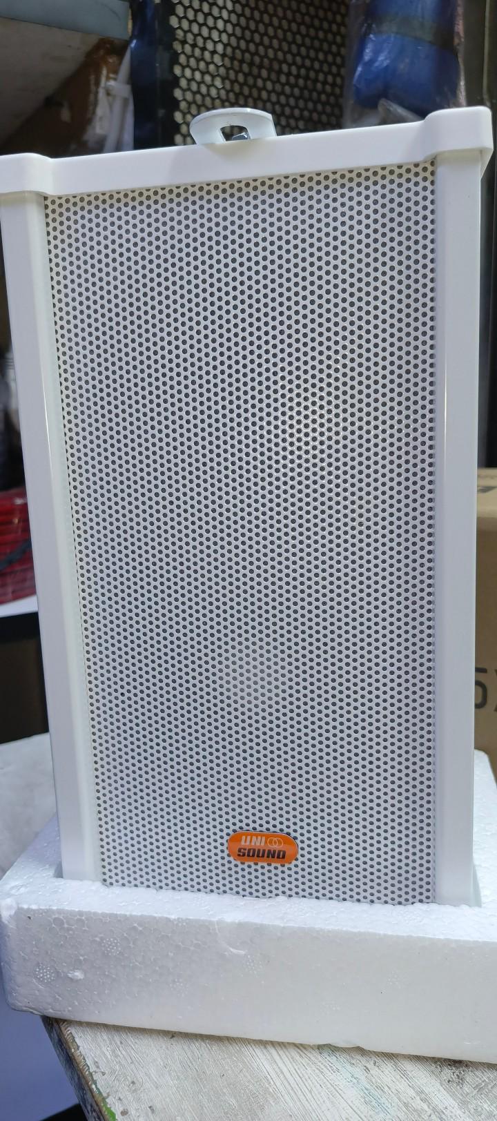 Unison Outdoor and Indoor wall mount speakers