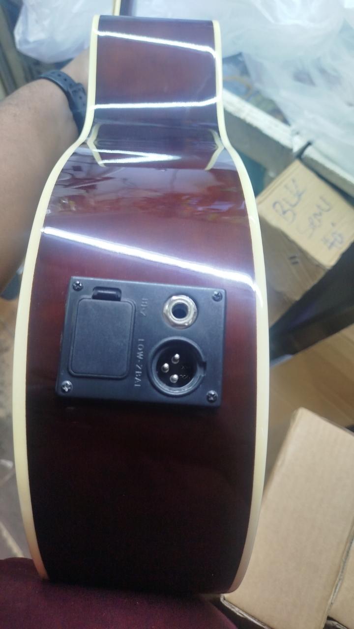 Elegant Semi-Acoustics guitars with digital turners & equlizer