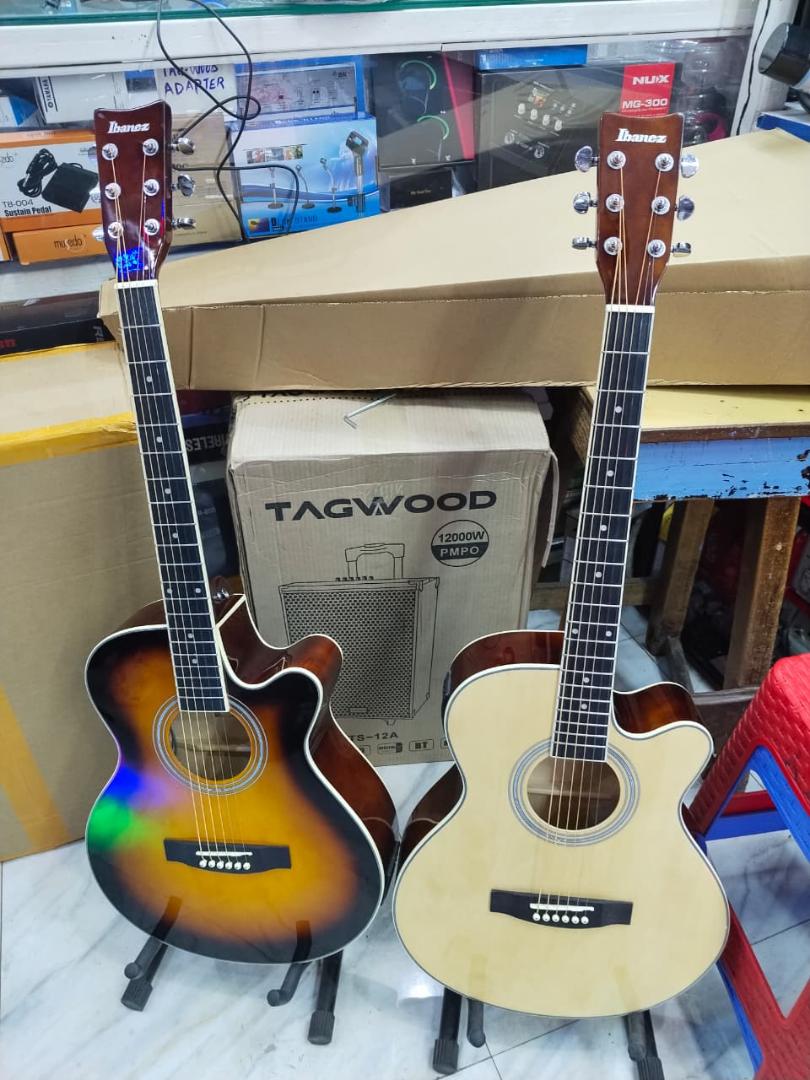 Elegant Semi-Acoustics guitars with digital turners & equlizer