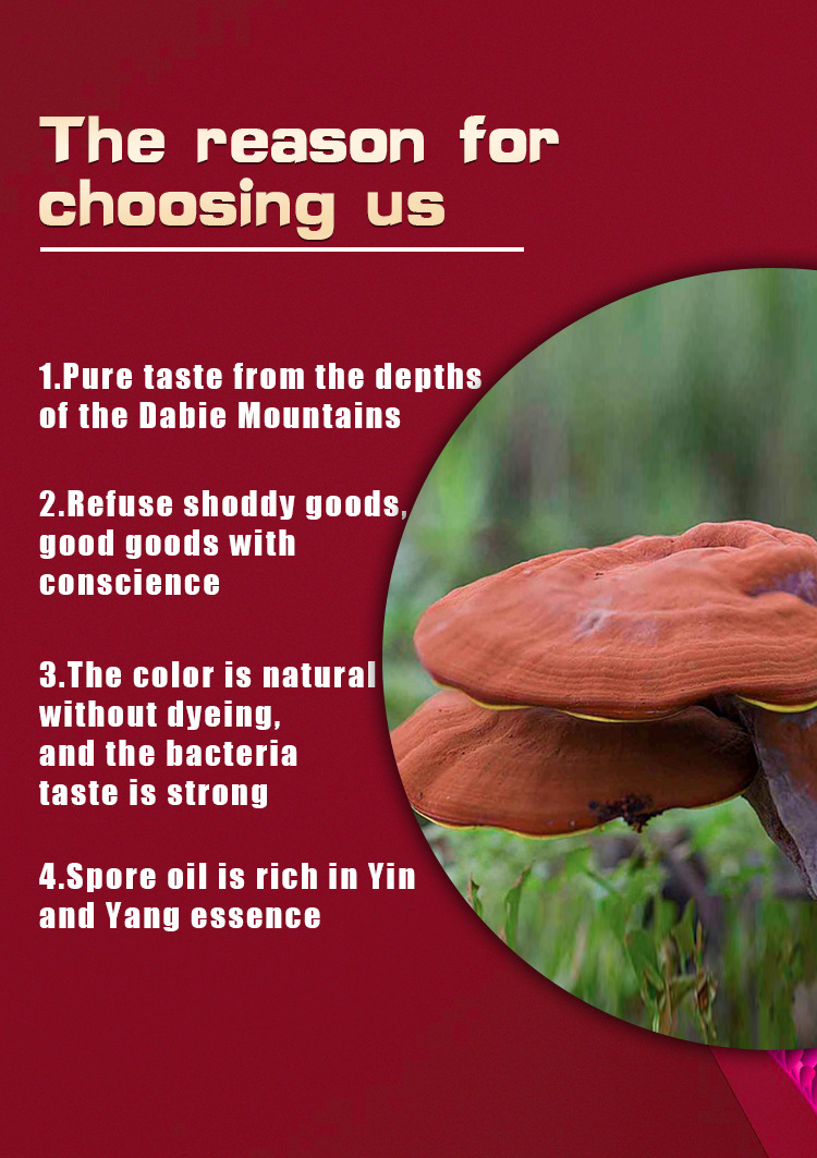 Ganoderma Lucidum Extract Reishi Mushroom Soft