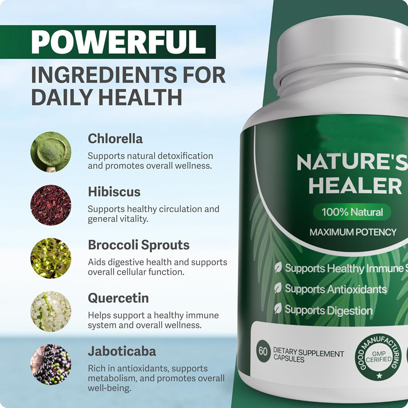 Moringa Powder Capsules Plant-Based Supplement, Plant-Based Nutrition  Moringa Powder Capsules Plant-Based Supplement, Plant-Based Nutrition