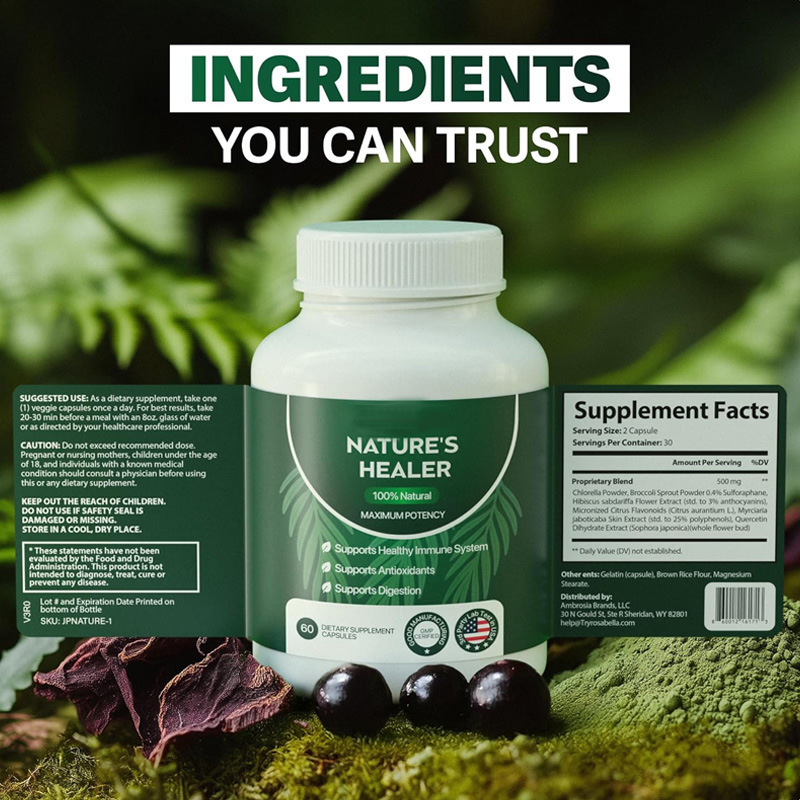 Moringa Powder Capsules Plant-Based Supplement, Plant-Based Nutrition  Moringa Powder Capsules Plant-Based Supplement, Plant-Based Nutrition