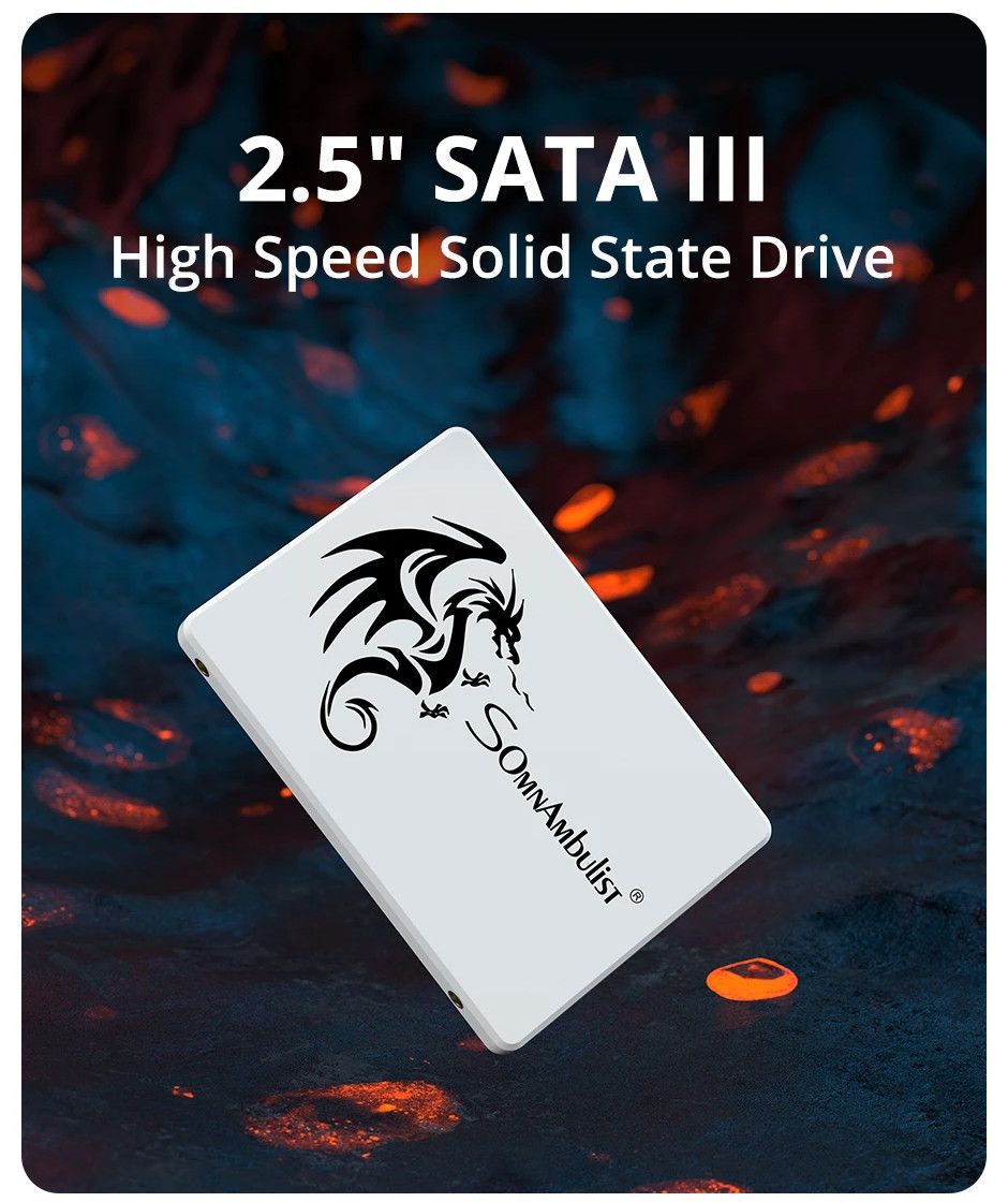SomnAmbulist SSD 2.5 64GB 128GB for Laptop Desktop Solid State Drive Sata3 64GB 128GB