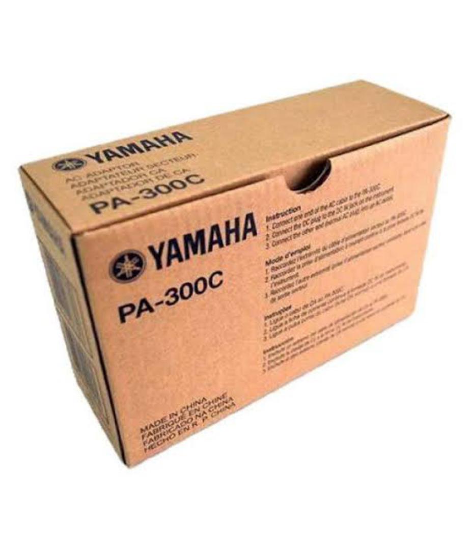 keyboard adapter 16 volts PA 300C
