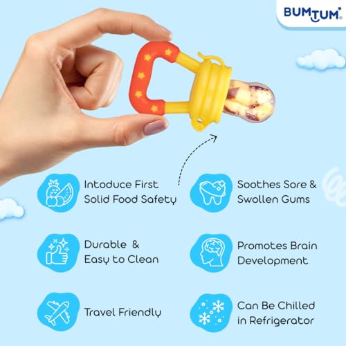 Baby Food Feeder Fruit Feeder Pacifier Infant Teething Toy Teether Includes Additional Silicone