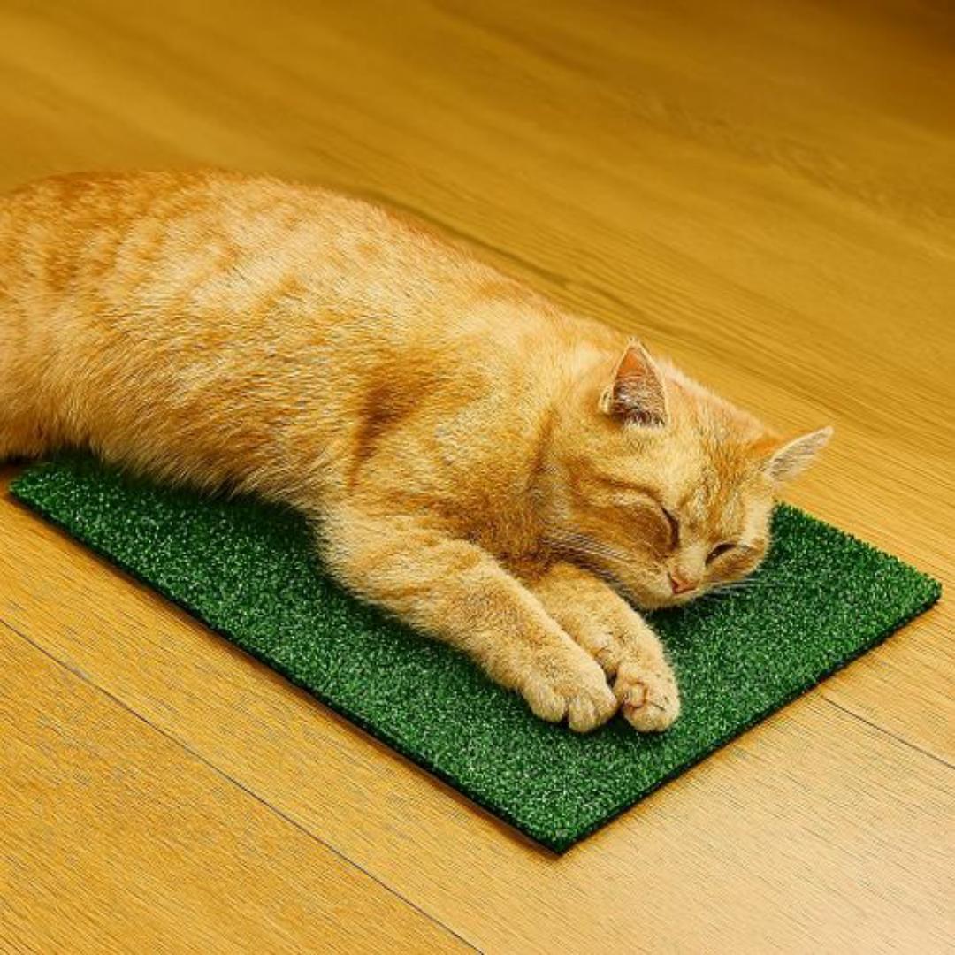 Mac Carpet Cat Scratching Post & Sleeping Mat - Premium Scratch-Safe Artificial Grass Mat for Cats – Durable, Mess-Free & Easy to Clean (40x60cm