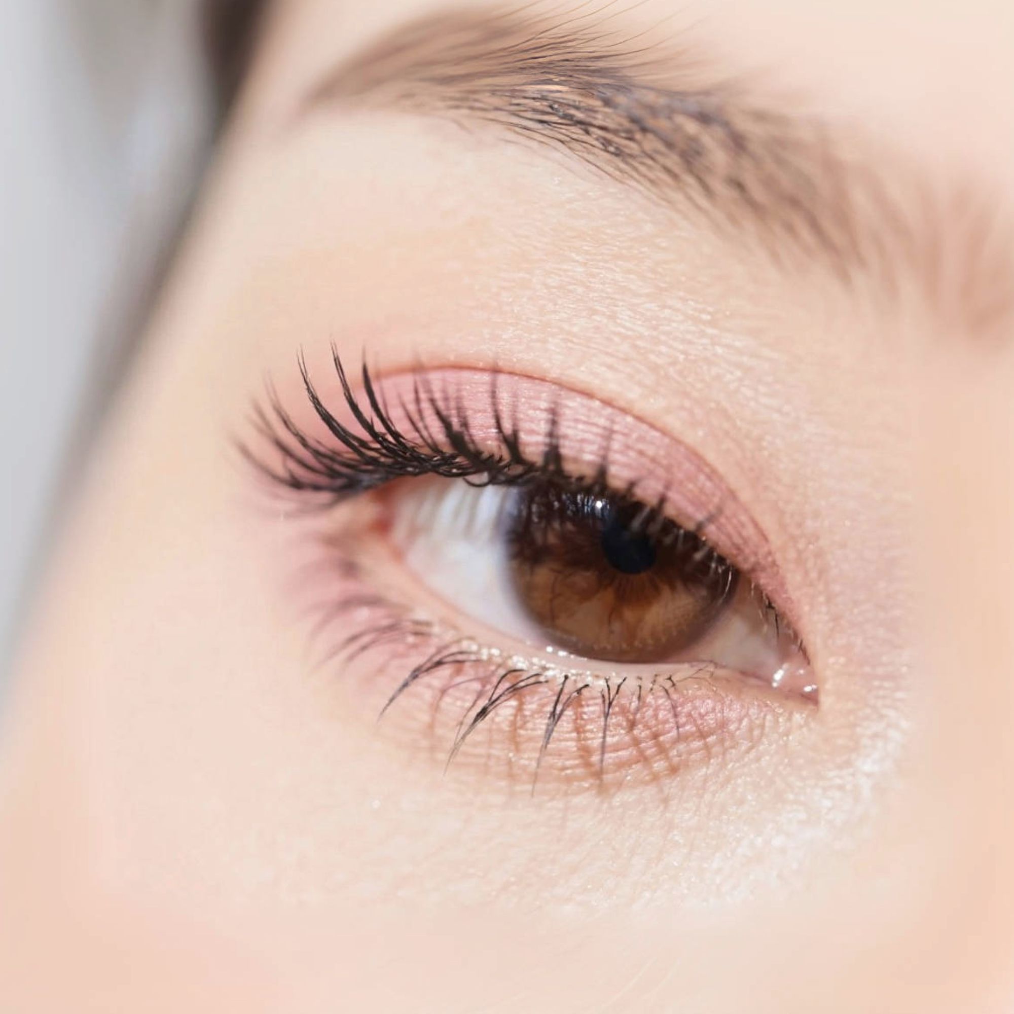 10-Pack Dense Crisscross False Eyelashes 13mm Hard Core Fake Lashes for Makeup