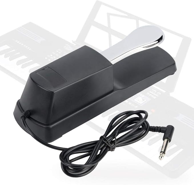 Sustain Pedal for Keyboard, Piano Pedal Keyboard Foot Damper Pedal with Polarity Switch, 1/4″(6.5mm) Input Plug, for Electronic Keyboards, MIDI Synthesizer, Digital Pianos
