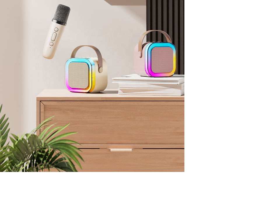 Two Wireless Microphone Stereo Speaker