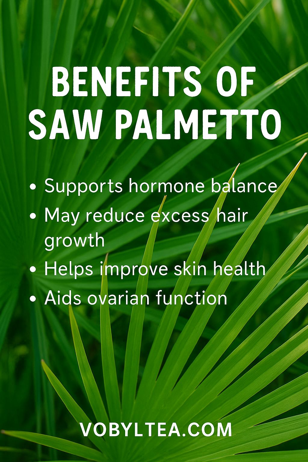 SAW PALMETTO  CAPSULES (Hair growth,prostate health,(It helps with enlarged prostate,urinary function and acts as a natural DHT blocker to reduce hair thining .beneficial for both men and women)