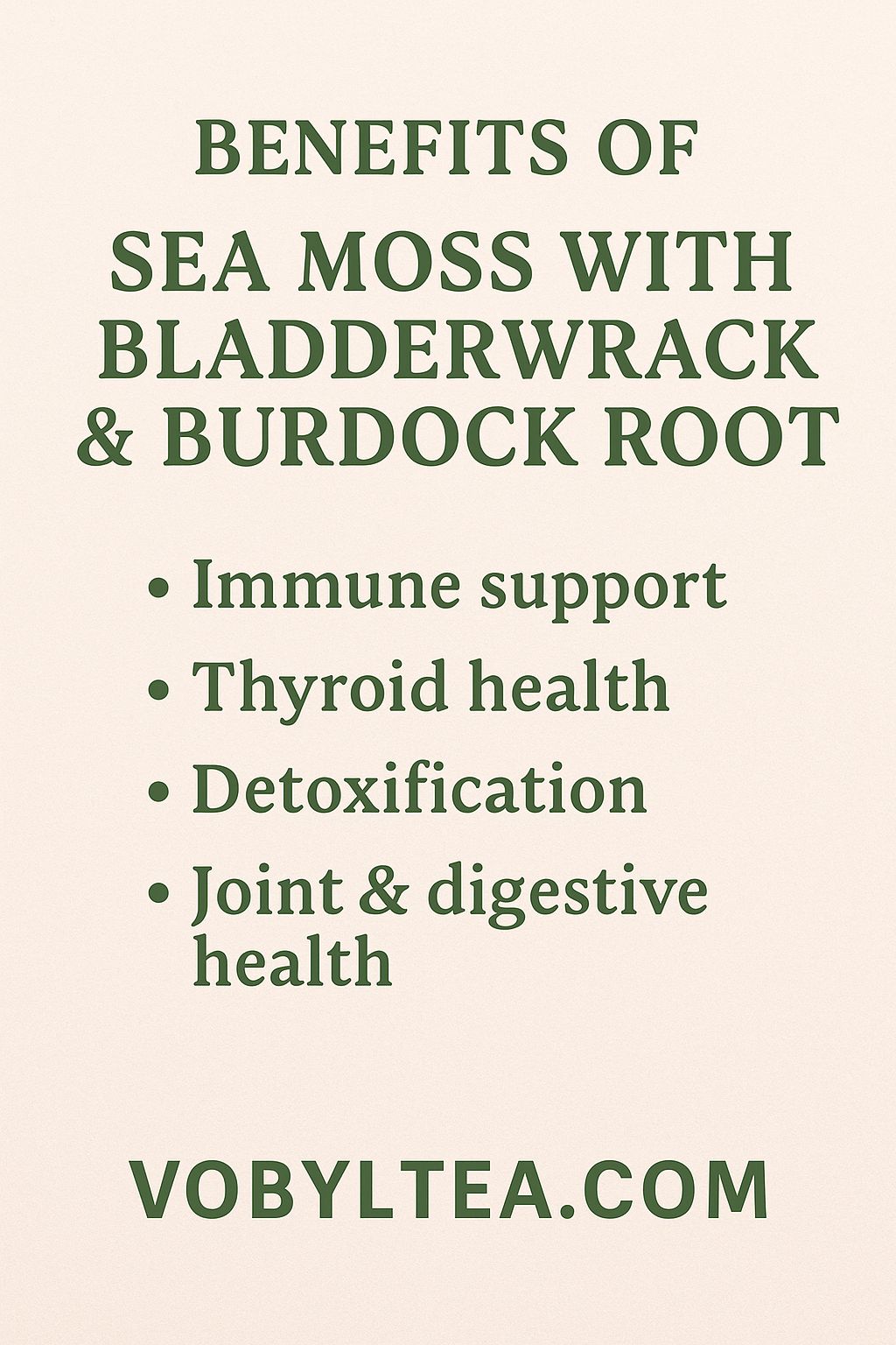 AFRIEARTH WELLNESS SEA MOSS GUMMIES WITH BLADDERWRACK &BURDOCK ROOT(For Immunity • Thyroid Health • Skin Glow • Digestion • Detox • Energy,used to nourish the body with minerals, support digestion.)
