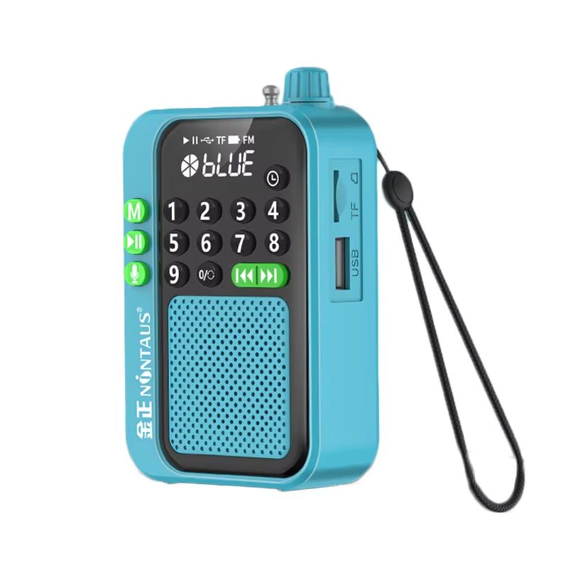 Mini Portable FM Radio Best Reception Radios 5W Wireless Bluetooth Speaker TF Card U Disk Music MP3 Player Support HD Rcording