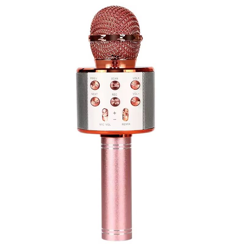 Portable Handheld Wireless Karaoke Microphone Speaker Microphone for Kids Music Player Singing Recorder KTV