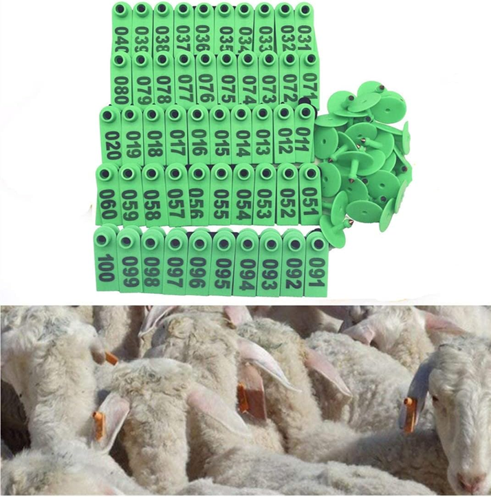 Goat Ear Tag 100pcs
