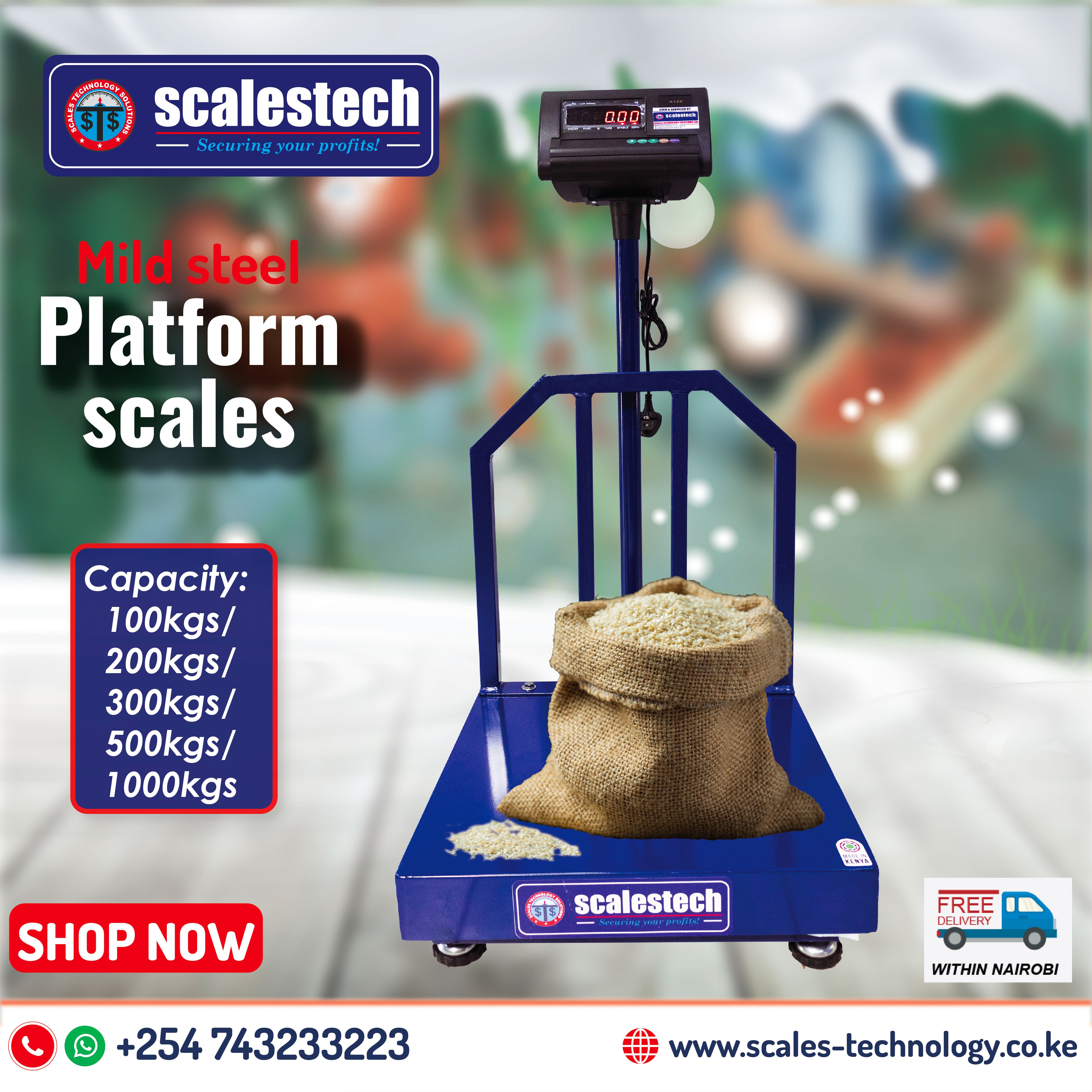 Heavy-Duty Mild Steel Electronic Platform Scale