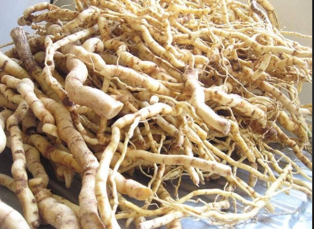 MUKOMBERO Organic Powder