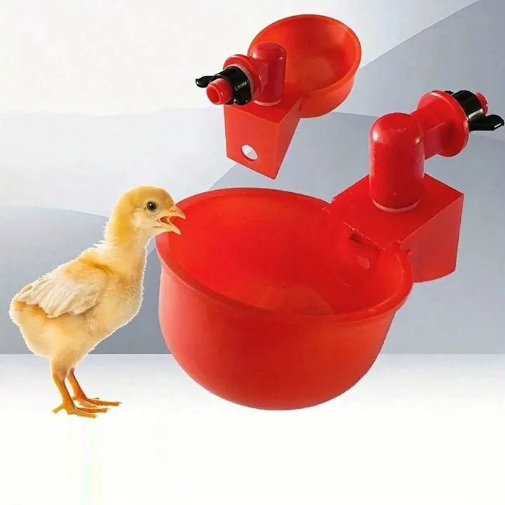 Automatic Poultry Drinker Cups 5PCS Chicken Water Feeder Self Filling Water Cups for Hens Ducks Quails Pigeons Bee Waterer Easy Install Poultry Drinking System Farm Tool