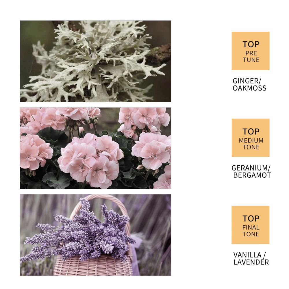 SADOER Nature Ginger Essence Hair Growth Oil Hair Growth Serum Hair Strengthening Treatment Scalp Treatment Promotes Hair Growth Thins Hair Solution Reduces Hair Breakage Strengthens Hair Roots